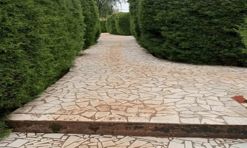 Centre Climatique de Bandjoun - photo 9