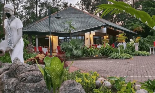 Bois Sainte Anastasie - photo 9