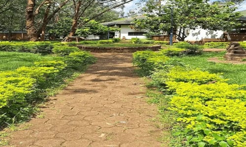 Bois Sainte Anastasie - photo 3