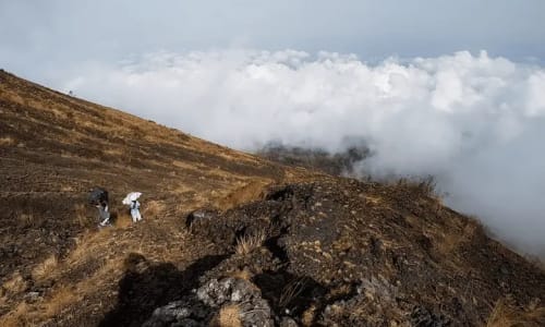 Mont Cameroun - photo 9