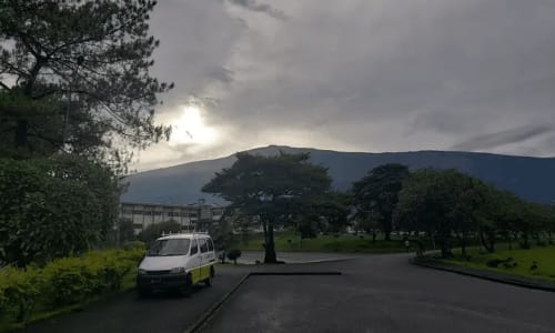 Mont Cameroun - photo 6