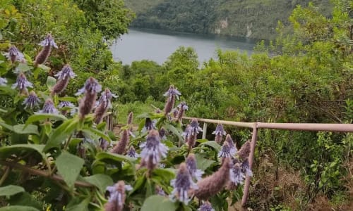 Mont Manengouba - photo 8