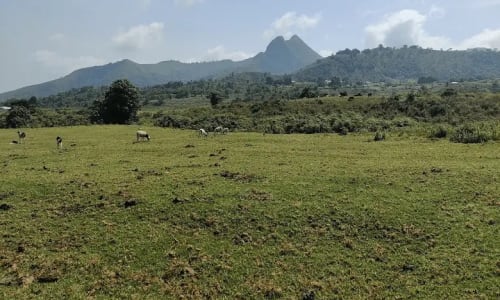 Mont Manengouba - photo 7