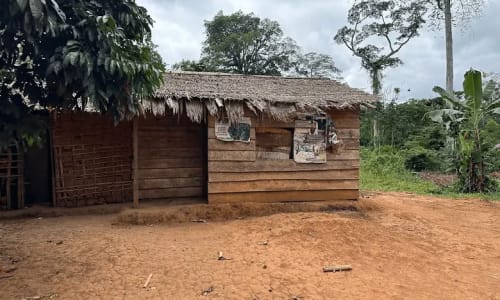 Réserve de phaune du dja - photo 4