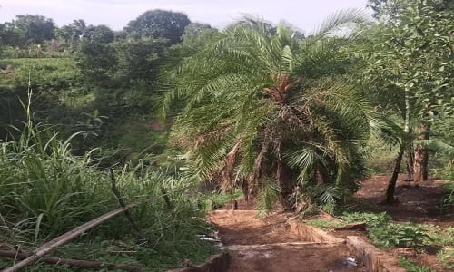 Les chutes de la métché - photo 8