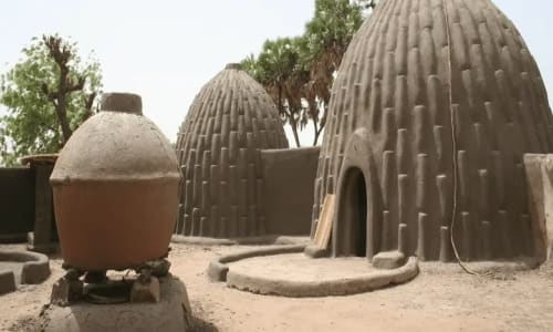 Parc national de waza - photo 17