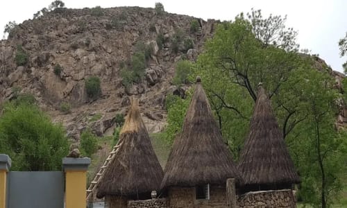 Parc national de waza - photo 16