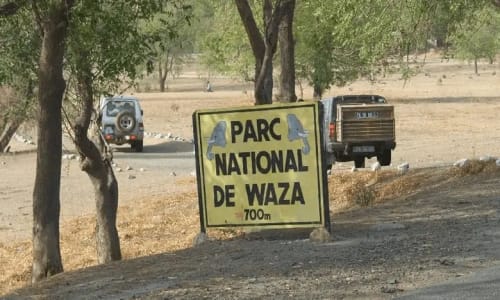 Parc national de waza - photo 15