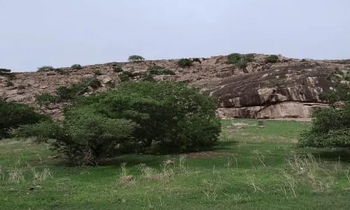 Parc national de waza - photo 12