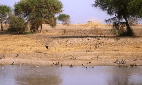 Parc national de waza - photo 3