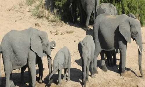 Parc national de Campo - photo 2