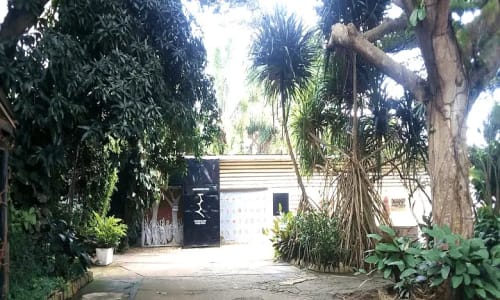 Musée ethnographique et d'histoire des peuples de la forêt d'afrique centrale - photo 12