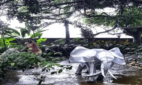 Musée ethnographique et d'histoire des peuples de la forêt d'afrique centrale - photo 10