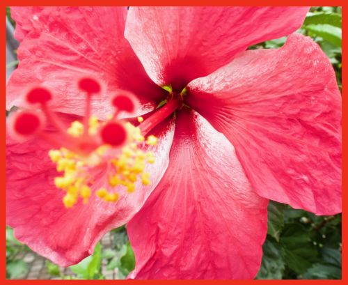cover image for Yushan National Park Area gallery