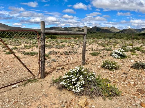 cover image for Baviaanskloof 60km Hike 2020 gallery