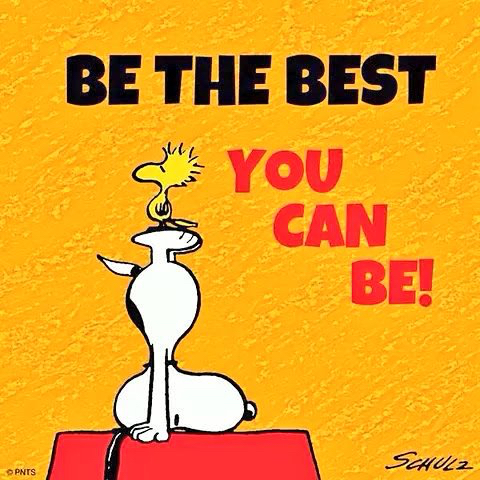 be the best you can be