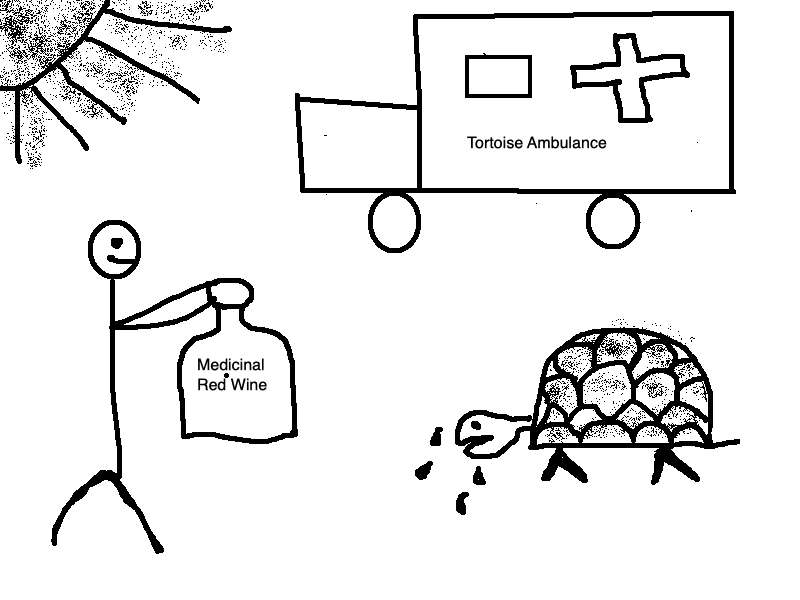 insane sketch with tortoises, ambulances and wine