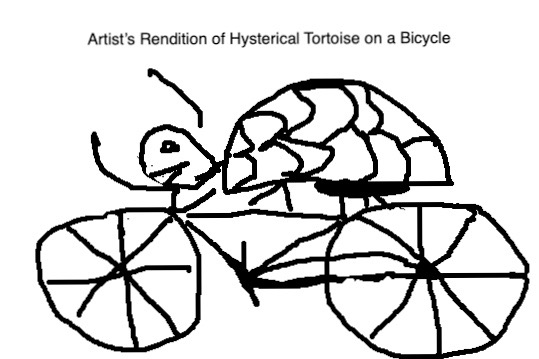 truly terrifying sketch of a tortoise trying to ride a bicycle