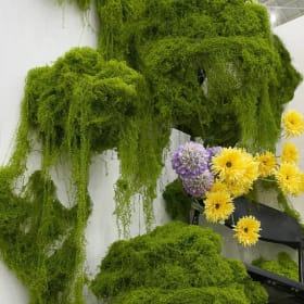 30/100g plantas verdes artificiales musgo vida eterna musgo hierba hogar sala de estar jardín decoración Mini paisaje flor falsa manualidades DIY