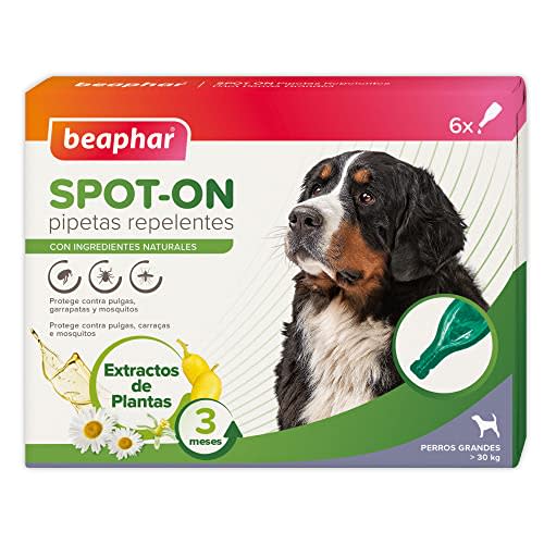 Beaphar Pipetas Repelentes Naturales para Perros Grandes (>30 kg) - 3 Meses de Protección contra Garrapatas, Pulgas y Mosquitos - 6 Pipetas de 2 ml