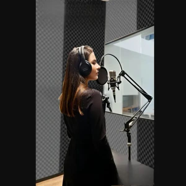 Panel absorbente de sonido, paneles acústicos, almohadillas amortiguadoras, barrera de sonido impermeable, relleno autoadhesivo a prueba de sonido, estudio de coche