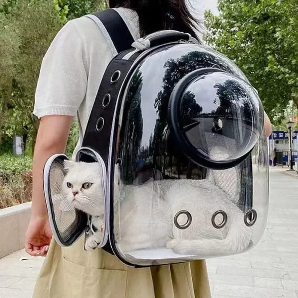 Bolsas de transporte transparentes para gatos, mochila espacial transpirable para mascotas, mochila portátil para cachorros y perros, bolsa de cápsula espacial para transporte de mascotas