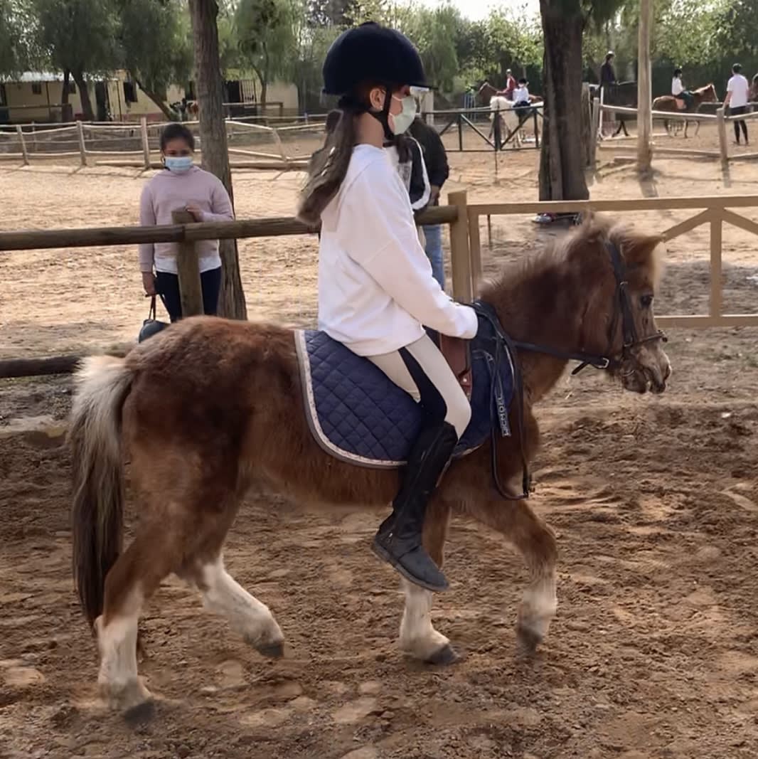 Estela Estela