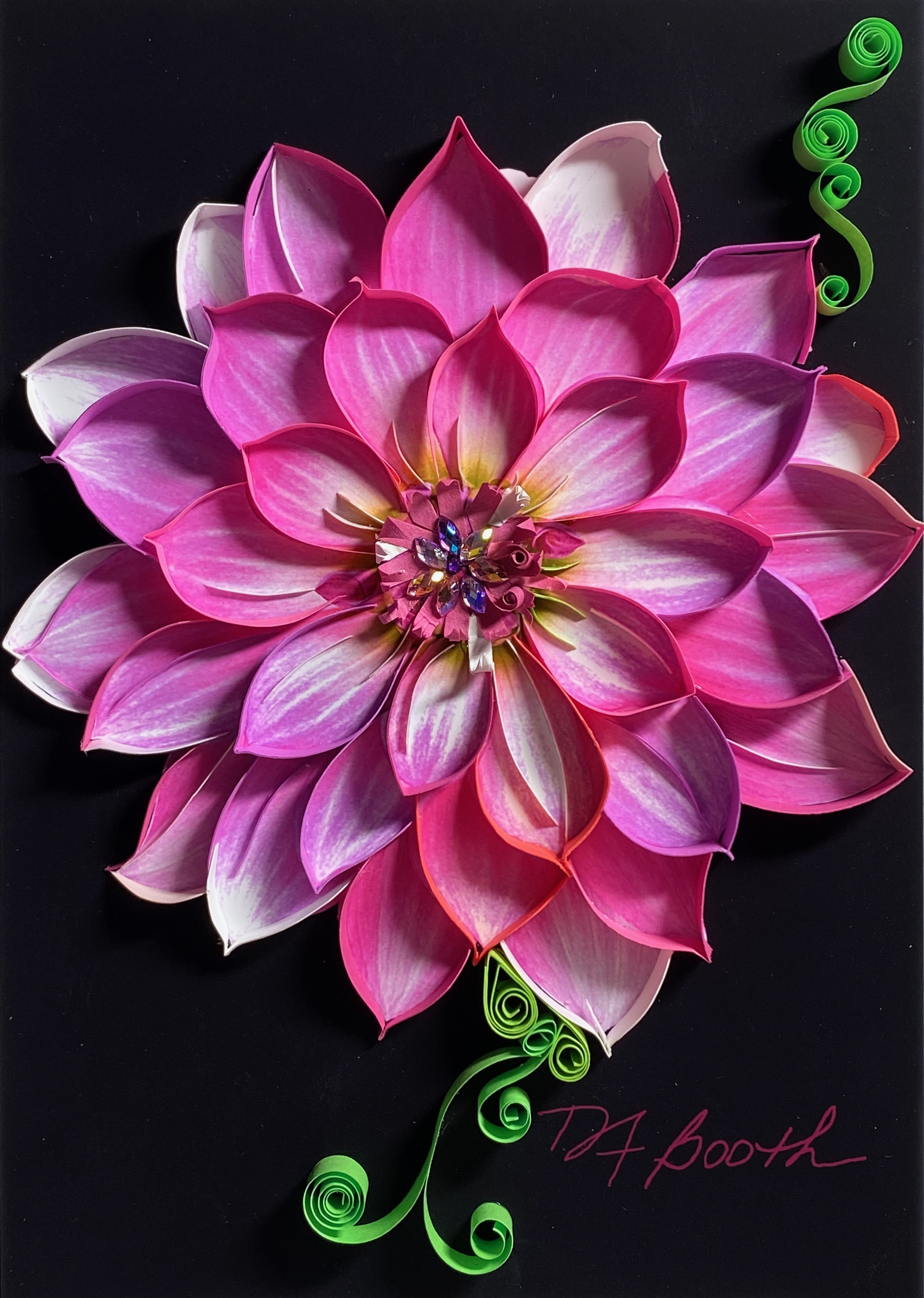 Dahlia Delight