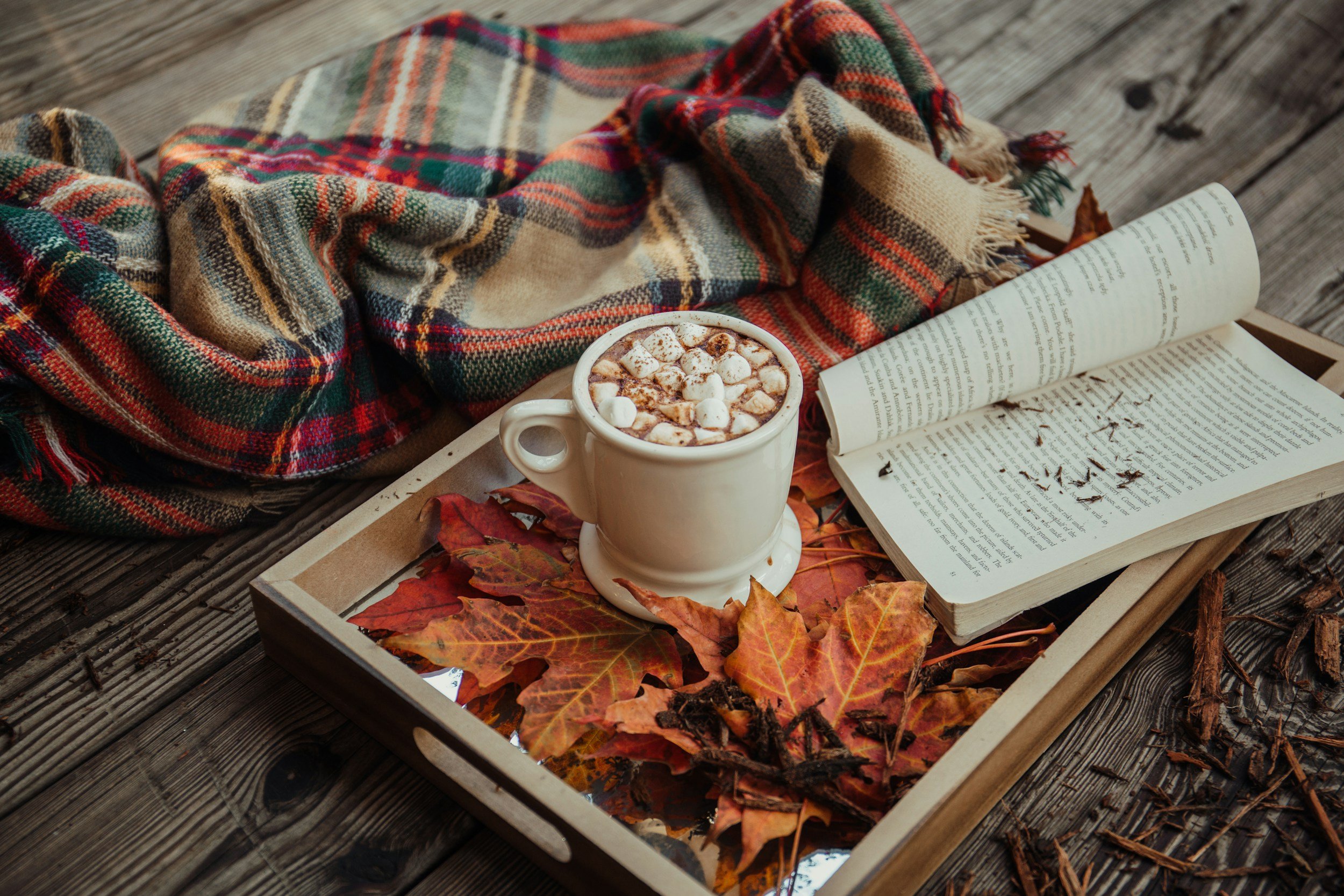 unsplash-image-JhxGkGgd3Sw.jpg