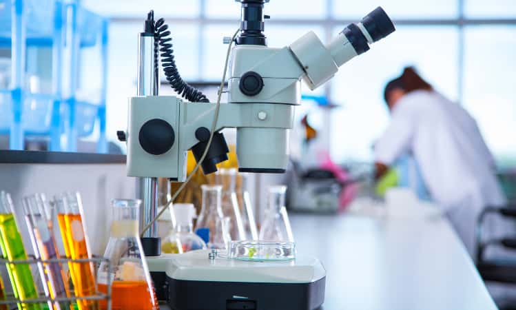Lab food chemical nigeria