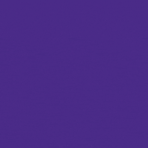 Ekonzo-Pay Animated Logo