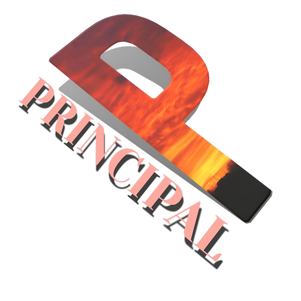 principal 3d logo