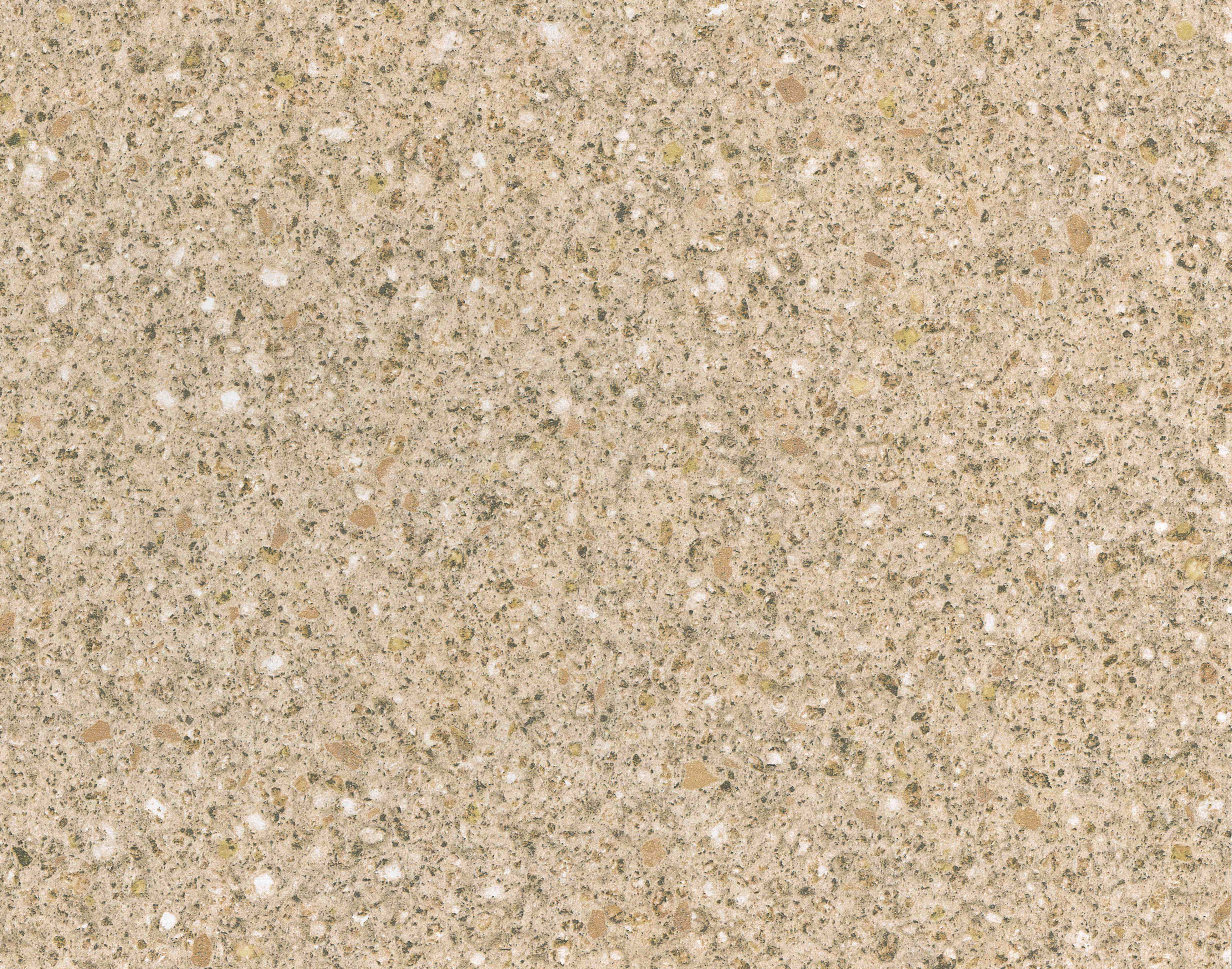 NEW Taurus Beige Swatch