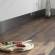 Walnut Large