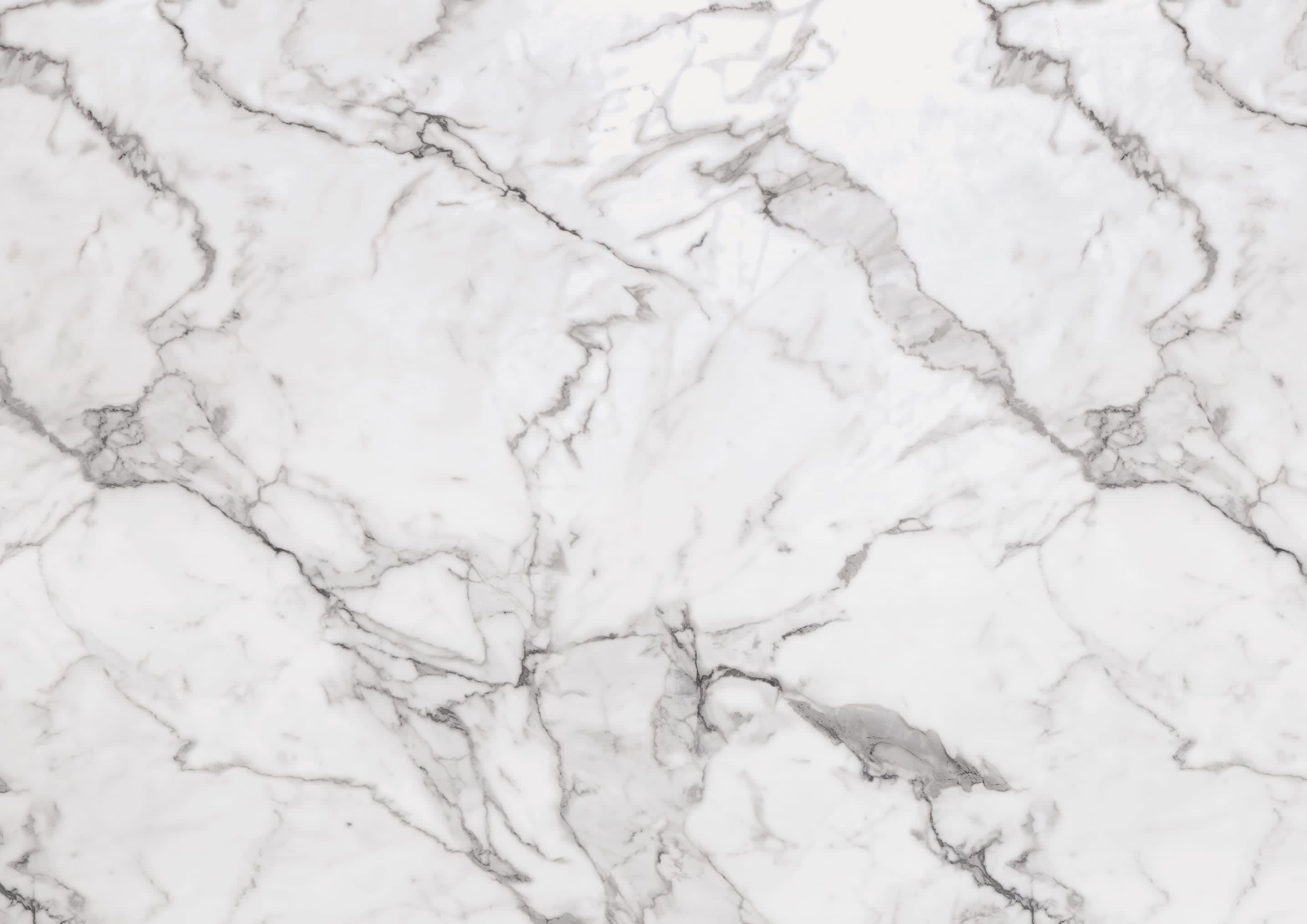 Prima Calacatta Marble  Swatch
