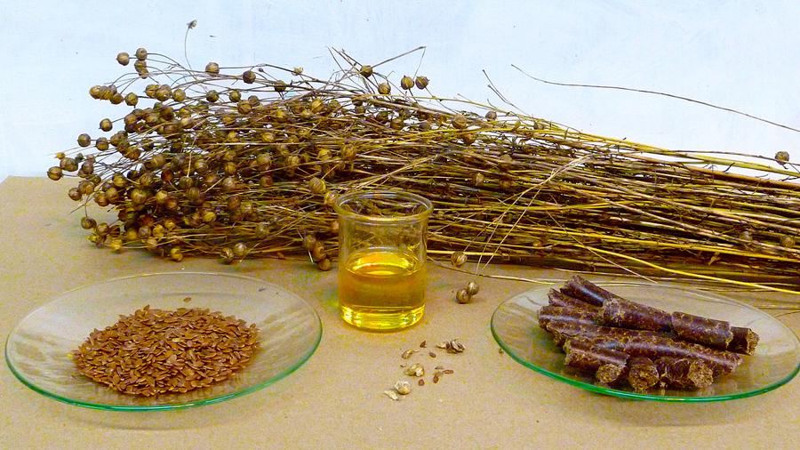 selecting_wood_oil_f1vng6