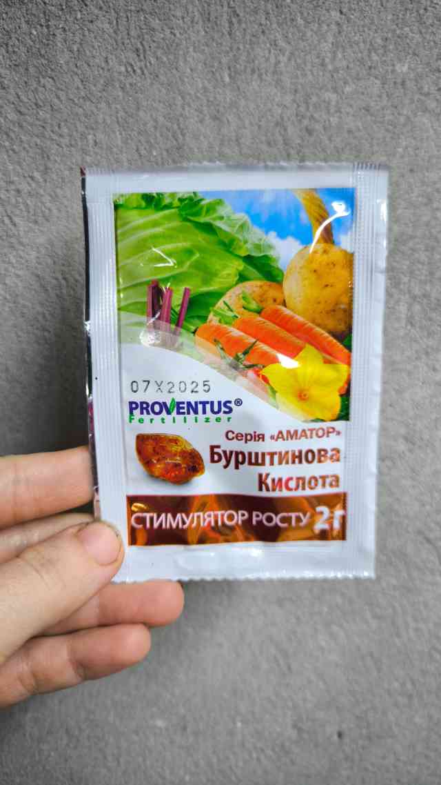 Бурштинова кислота