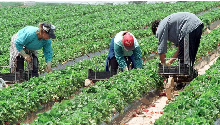 !Atención! Cambios clave para trabajadores extranjeros en España que debes conocer ya