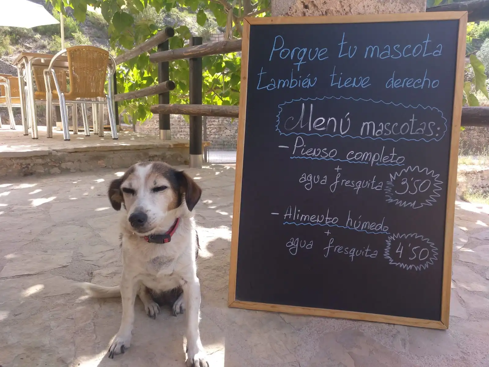 Chiringuito pet friendly en Beceite, se permite venir con mascotas