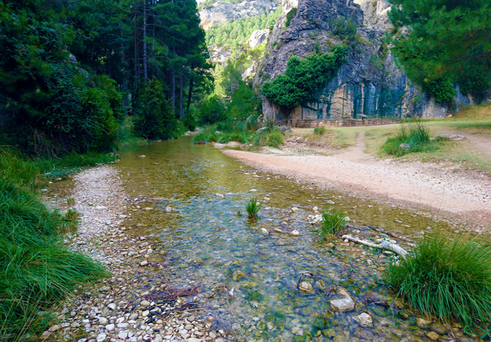 Tramo de la ruta del parrizal donde se contempla el cauce del agua con un paisaje hermoso