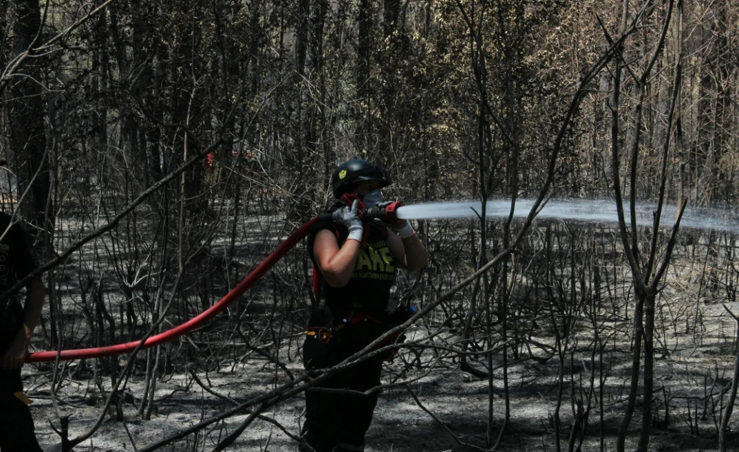 Junta de Castilla y León bajo lupa en 35 contratos antiincendios