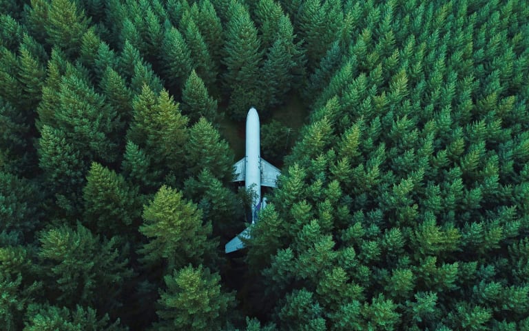 Aerial view of passenger airplane impossibly positioned in forest trees.
