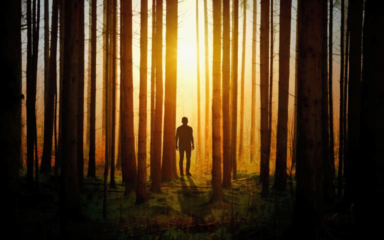 Silhouette of a person walking towards the light deep in the forest.