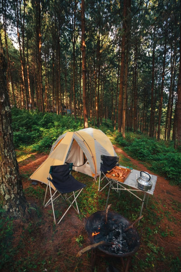 Chopta Camping & Tungnath in Uttarakhand