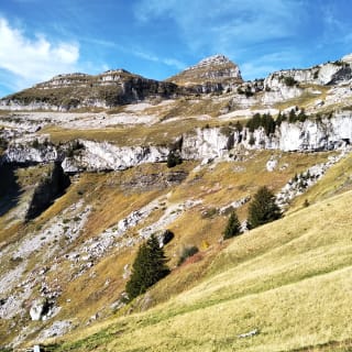 Berneuse, Leysin