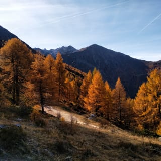 Haute-Nendaz - Tracouet