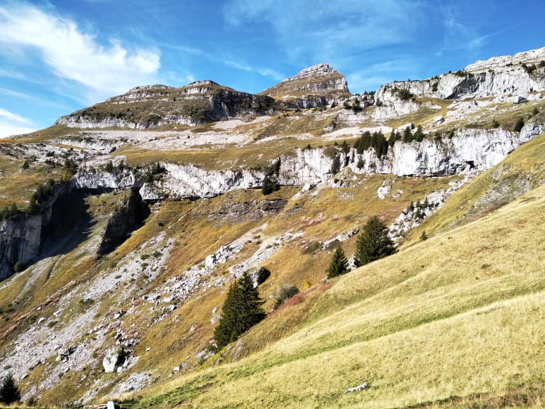 Berneuse, Leysin