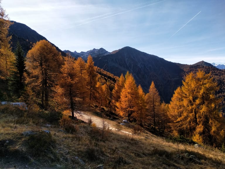 Haute-Nendaz - Tracouet