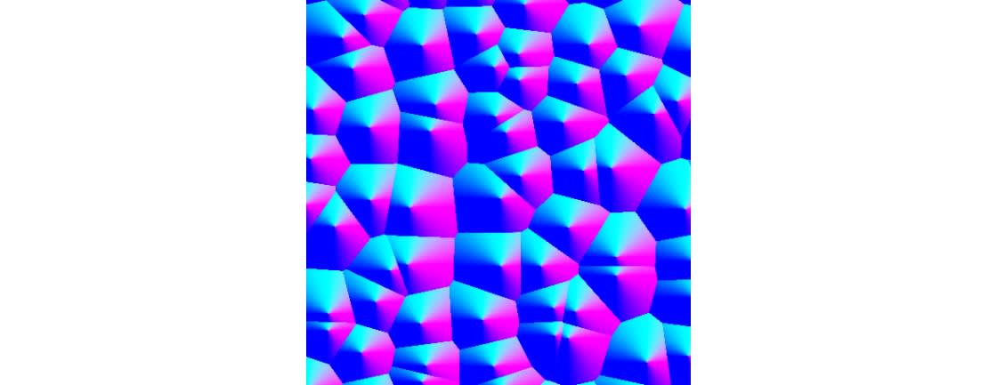 第1近傍距離をとる関数の勾配の可視化