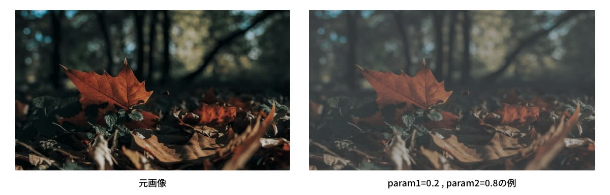 param1=0.2,param2=0.8の線形関数の例